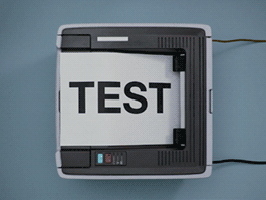 A brown and black cat named Rex.